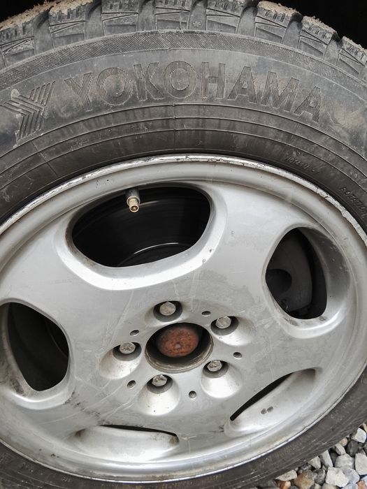 Тек обмен көремін зима мен тұр 16 размер