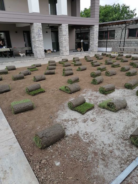 Gazon rulou si instalații de irigat