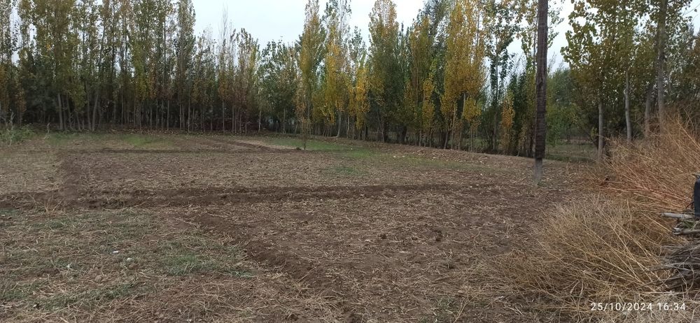 Boyovutda uy sotiladi