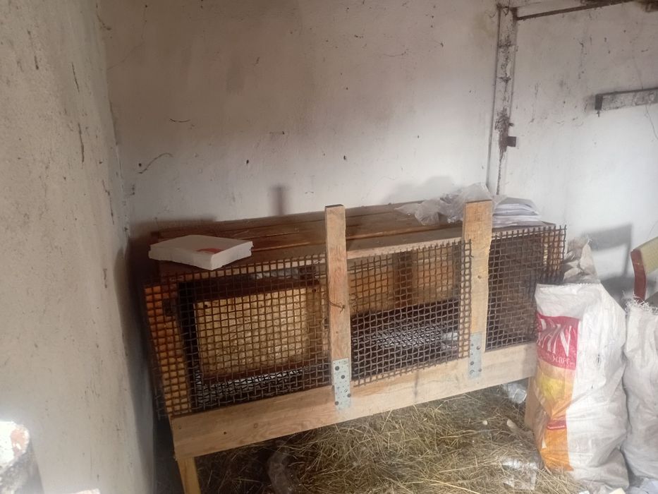 Продам землянику