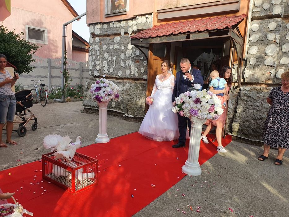 Porumbei albi pentru nunti Timișoara