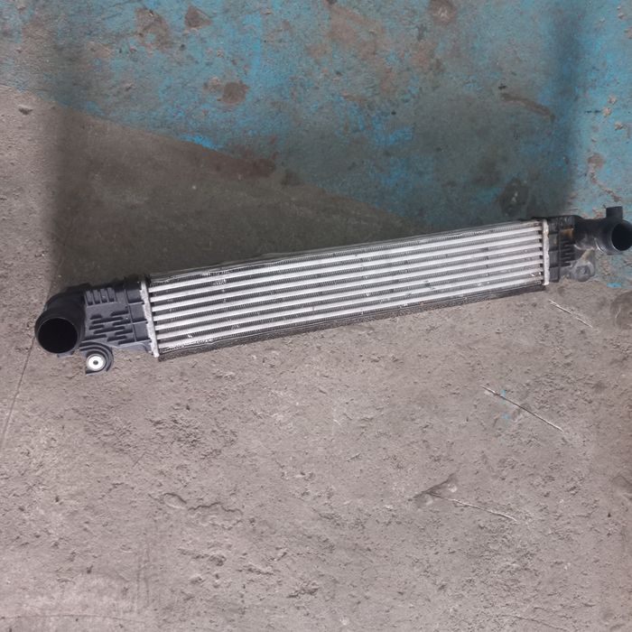 Ининттеркулер бу