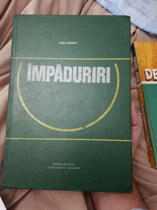 Împăduriri - Ioan Damian