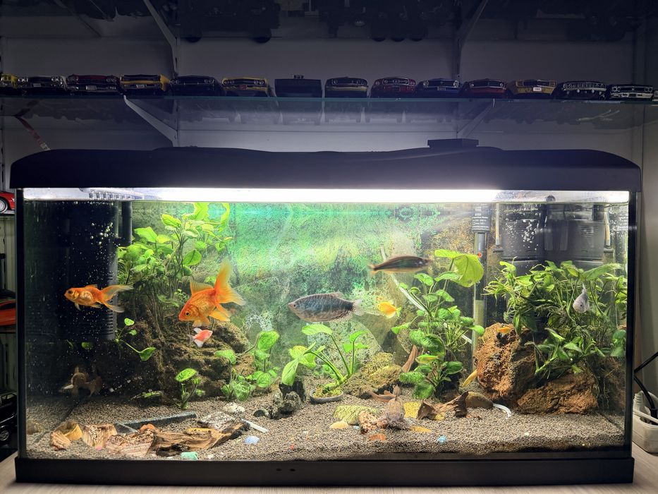 Acvariu 120l Complet
