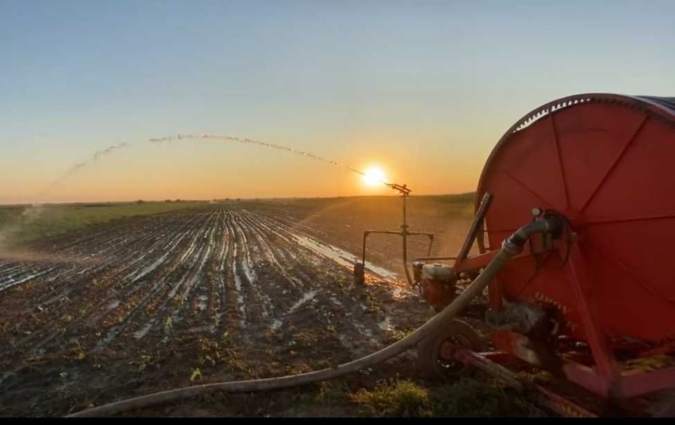 Tambur Malupe Agro