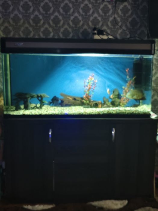 Продам аквариум 350 литров