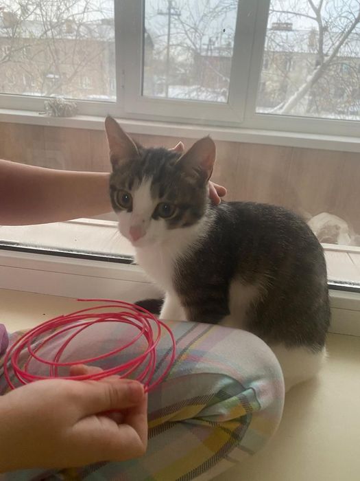 Мальчик в добрые руки