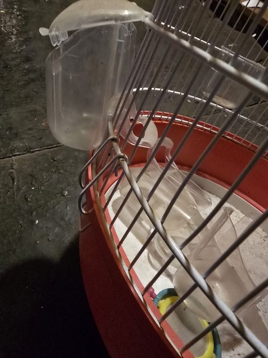 Colivie cusca papagal completa cu accesorii fara defecte