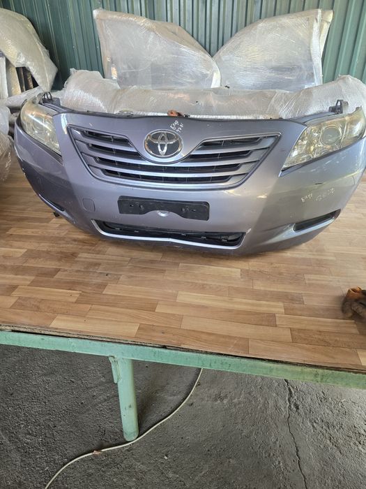 Мини морда ноускат