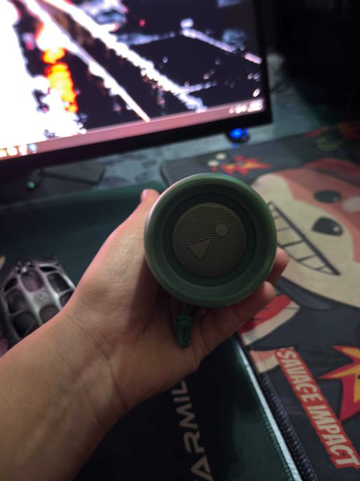 JBL flip 5 green wireless kalonka