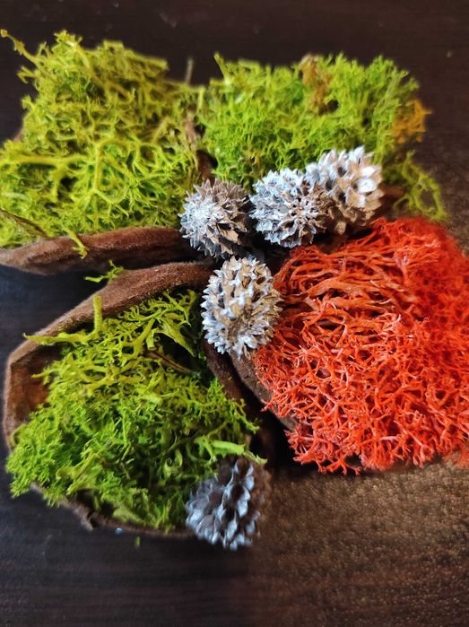 Скандинавски мъх сувенир