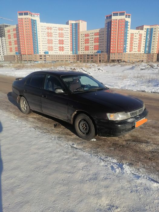 Таета Карина е 1993