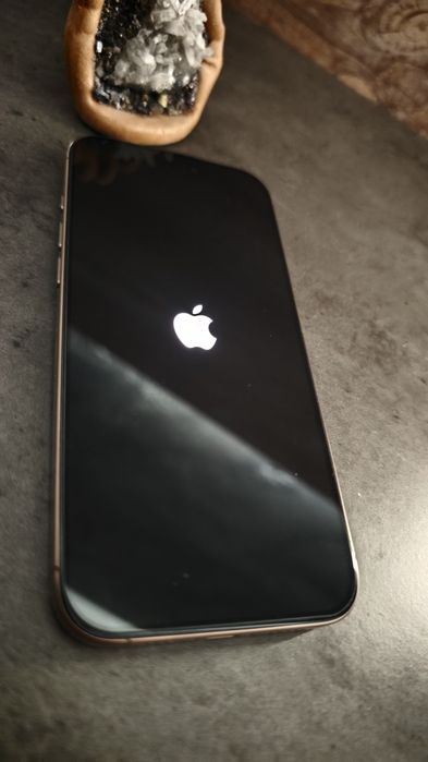 iPhone 16pro max