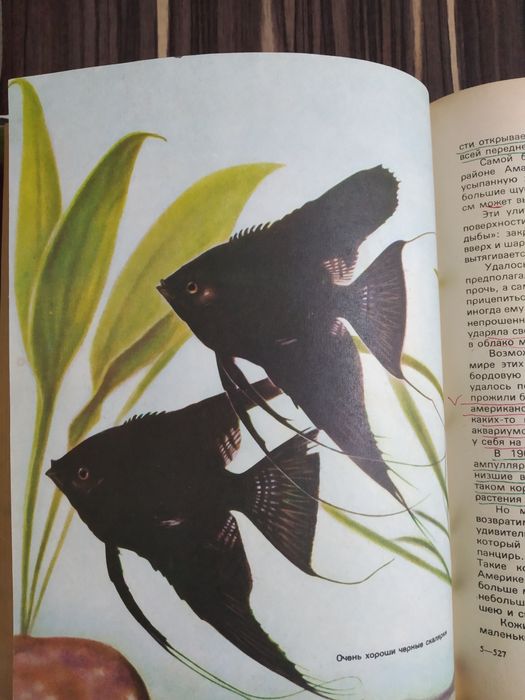 Книга "Увлекательный аквариум"