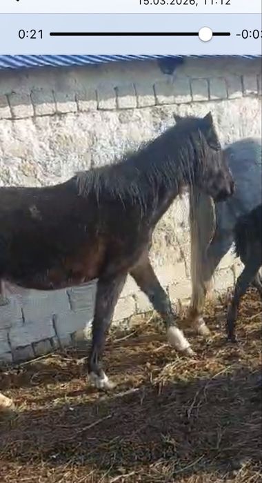 Продам за 450 тыс т