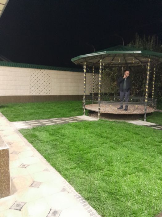 Gazon palif tomchilab suĝorish daraxt ekish