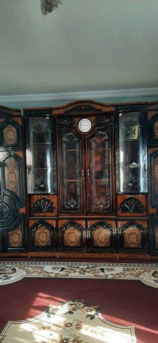 Стенка холати янги