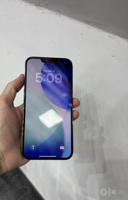 Iphone 13Pro Max