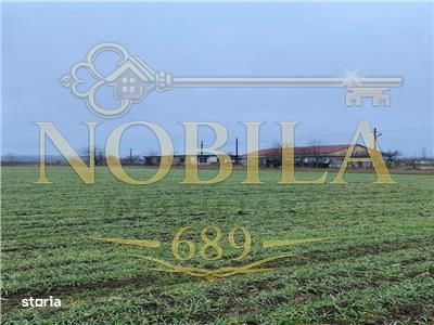 Teren Intravilan 28.000 mp în One?ti – pentru Investi?ii Industri