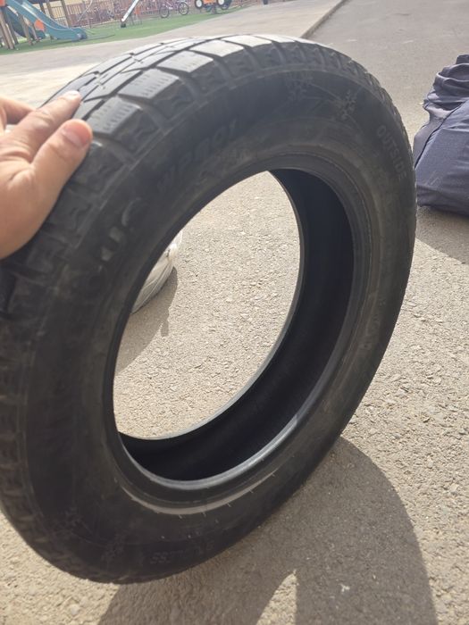 Калоса крассавер