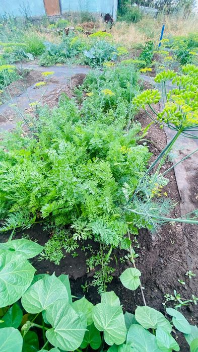 Продам дачу, р-н Ахмирово