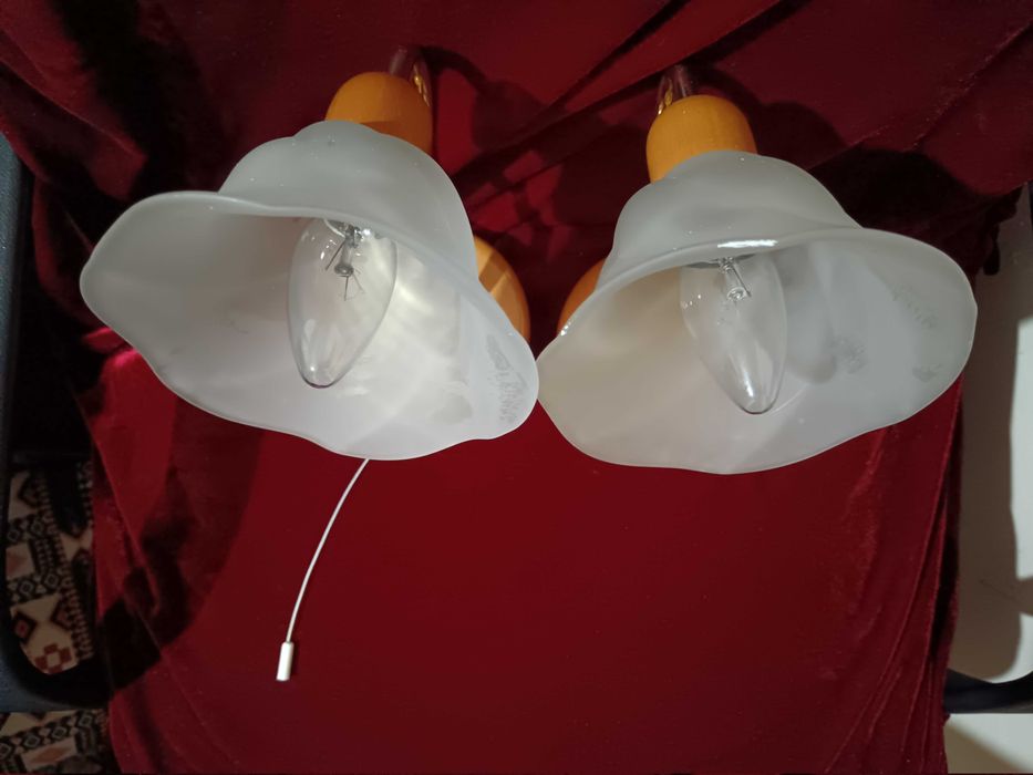 Aplice de perete – set de 2 – sticlă mată, model floare