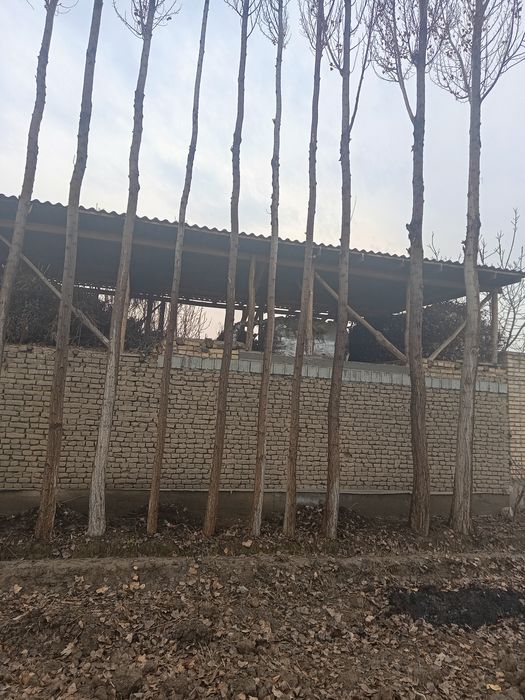 15tup terak bor sotiladi