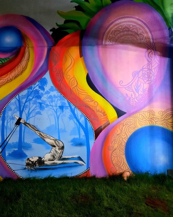 Graffiti interior/ exterior, pictura pereti