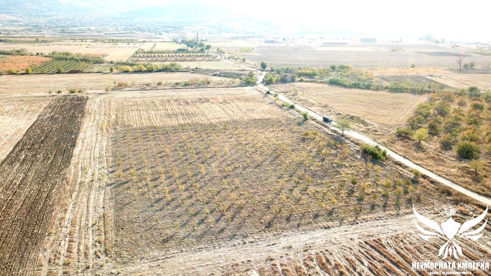 Продава се Земеделски имот в Асеновград -  кв.м за 3009 €/дка - Снимка #3