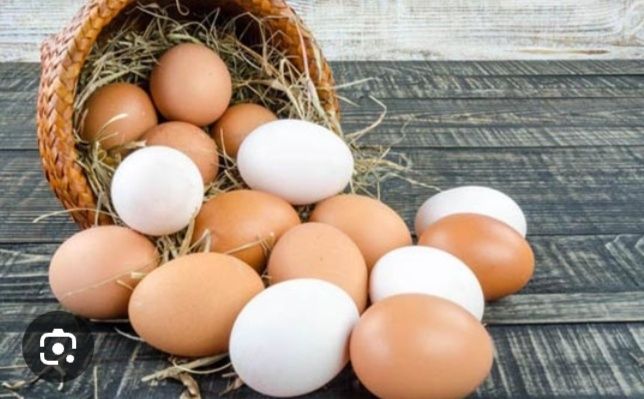 Продаются яйцо на инкубацию