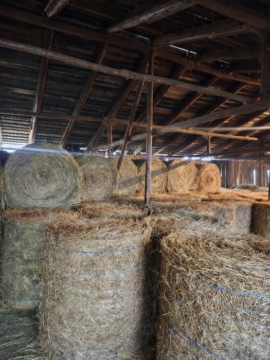 Baloți lucernă  120×110cm