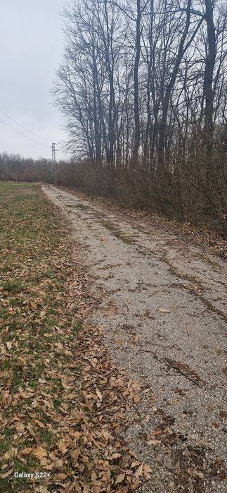 Продава се Къща в с. Цар Асен, Област Силистра - 820 кв.м за 933 €/кв.м - Снимка #7