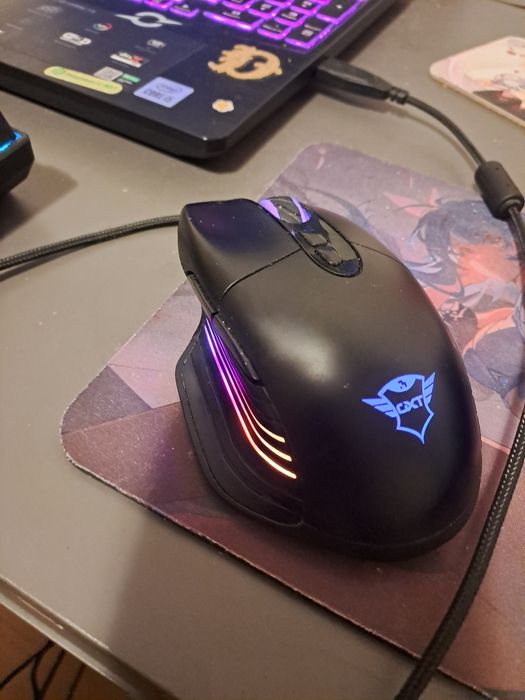 Mouse gaming GXT
