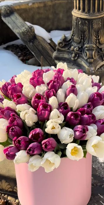 Цветы тюльпаны Букеты