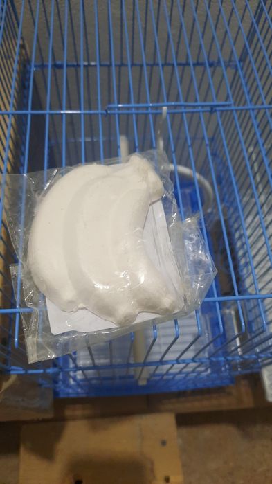 Декоративный птицы