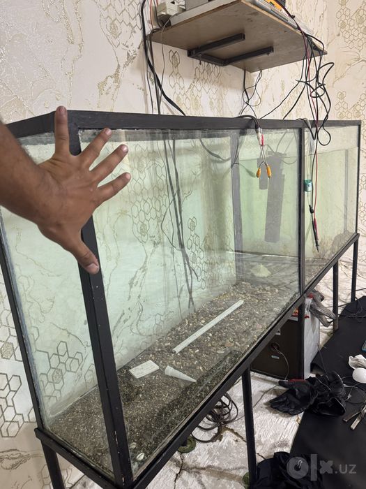 Akvarium 200 litrdan har biri