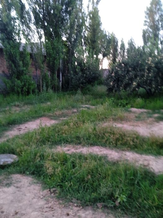 Срочна участка сотилади Янгибозорда