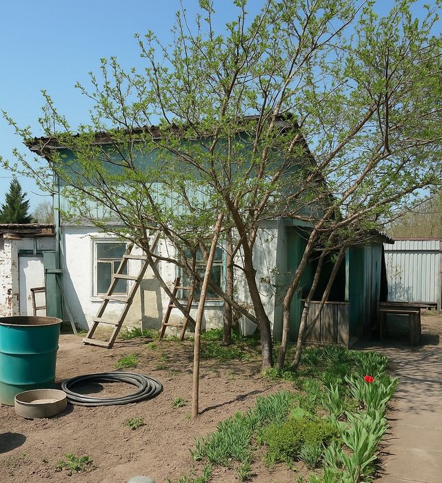 Дача на берегу Иртыша с выходом к воде!