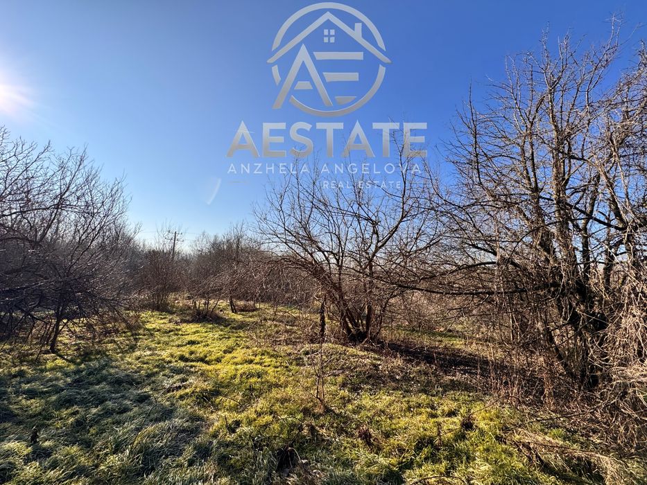 Продава се Земеделски имот в с. Опанец, Област Плевен -  кв.м за 7 €/дка - Снимка #3