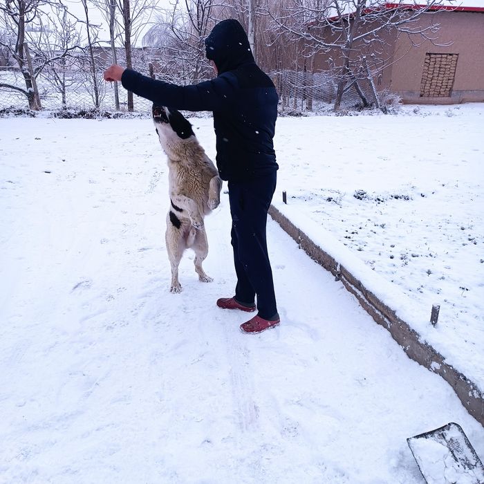 Bir yarim yosh. Kfrkjwwlrkfkslskdkkw