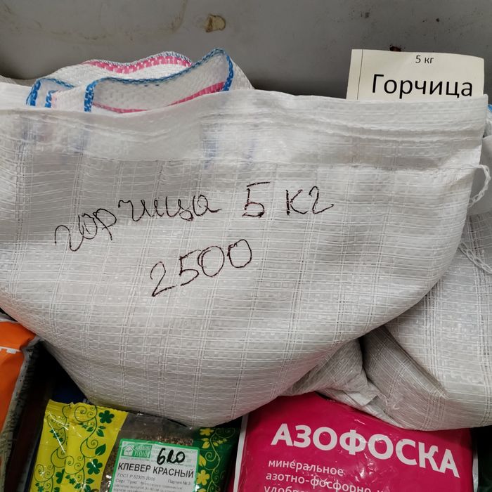 Сидерат горчица. 1 кг, 5 кг.