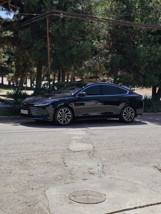 BYD CHAZOR 100% тоза