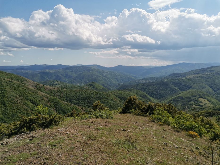 Продава се Земеделски имот в с. Сусам, Област Хасково -  кв.м за 702 €/дка - Снимка #1