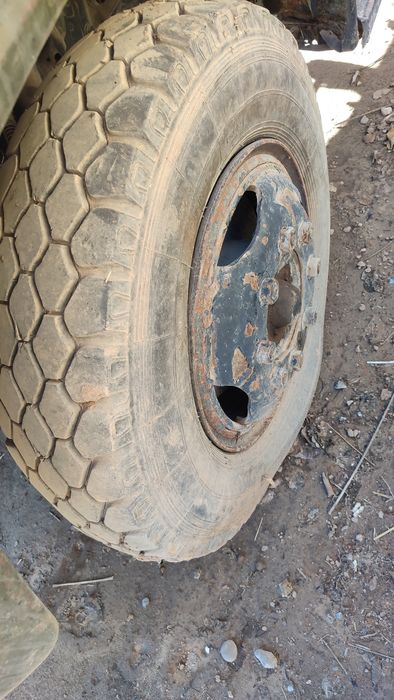 Zel Deska bolan  6dona