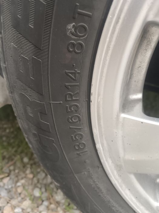 R15 рамашка титанка