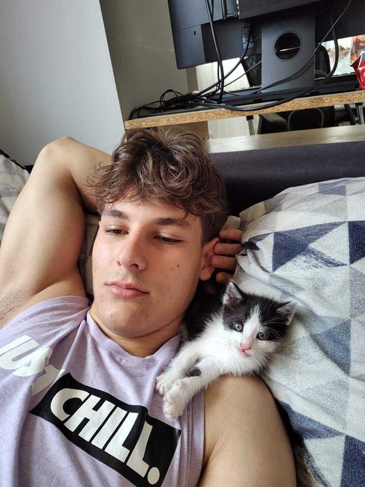 Котенце търси дом