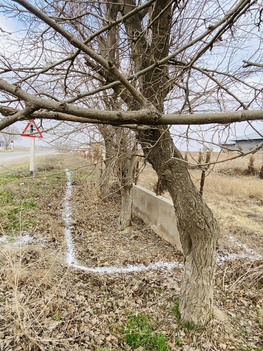 Yer sotiladi , aqlli bekat qurish uchun . Noturar