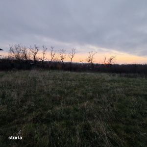 Teren extravilan, 4760 mp - zona Ghercesti