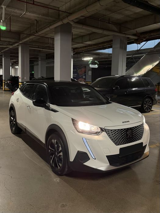 Peugeot 2008 Elektromobil 343km