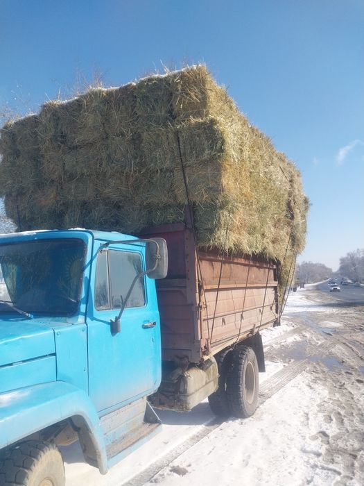 Шөп рознотровия мелки зелёный